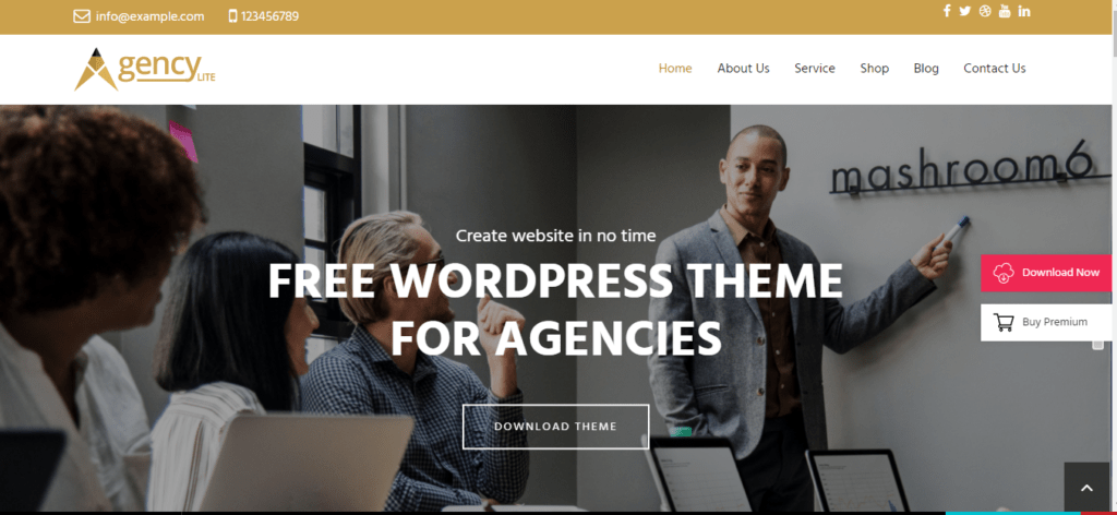 Agency Lite Best Travel Agency WordPress Theme